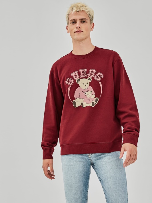 Bordo Spalvos Megztinis Su Logotipu Spėti