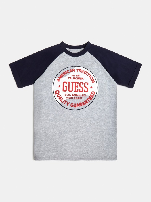 Priekyje Logotipo Marškinėliai Guess Pilki Multi