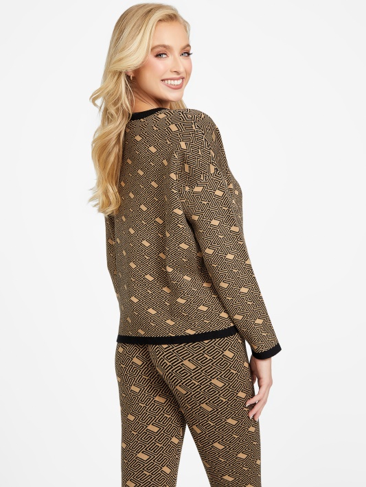 Eco Boxy Cachet Megztinis Atspėti Toasted Taupe Multi