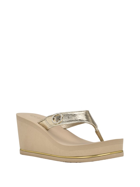 Gld-1 Aukso Spėjimas Platformos Flip Flop