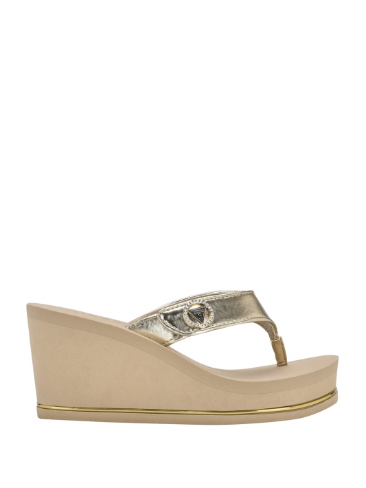 Gld-1 Aukso Spėjimas Platformos Flip Flop