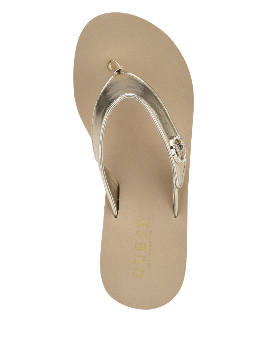 Gld-1 Aukso Spėjimas Platformos Flip Flop