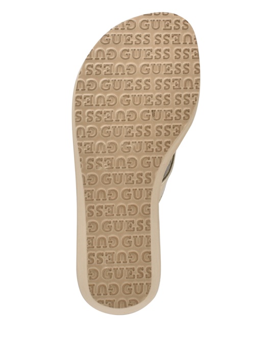 Gld-1 Aukso Spėjimas Platformos Flip Flop