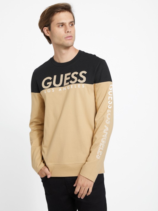 Skrudinta Taupe Guess Eco Zioin Color-block Marškinėliai Ilgomis Rankovėmis