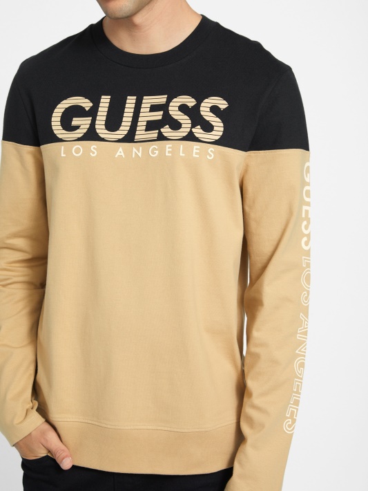 Skrudinta Taupe Guess Eco Zioin Color-block Marškinėliai Ilgomis Rankovėmis