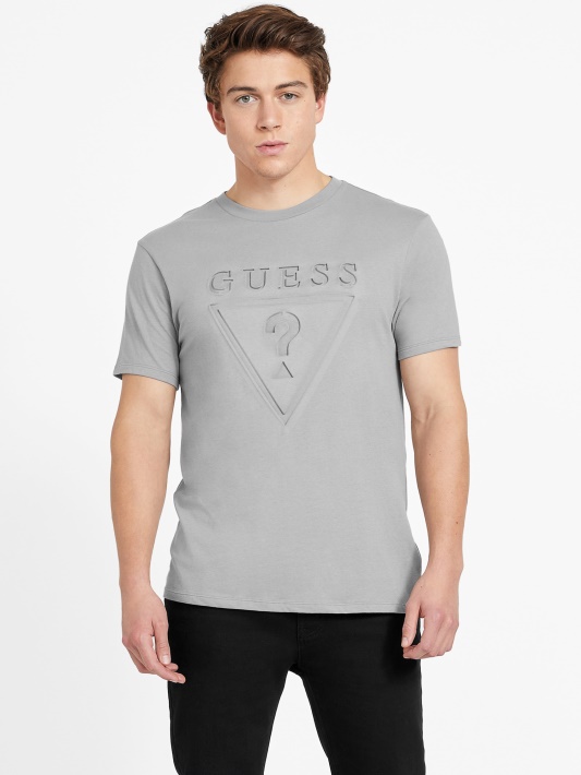 Logotipas Crewneck Tee Guess Pilkas Magnetas