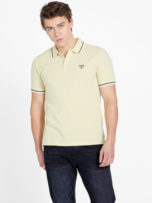 Allen Polo Citrusinių Saulės Spėjimas