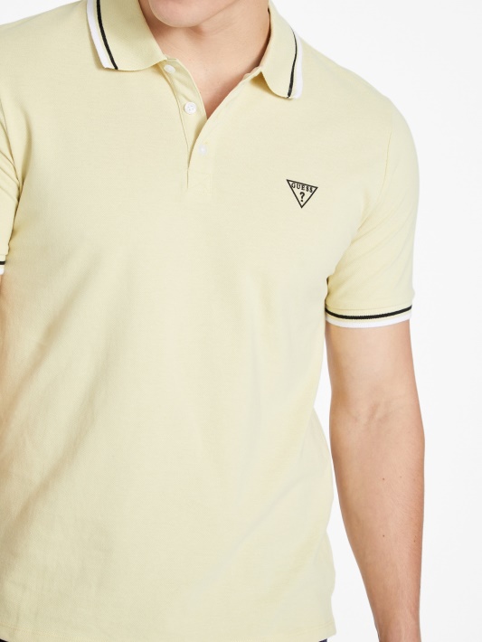 Allen Polo Citrusinių Saulės Spėjimas