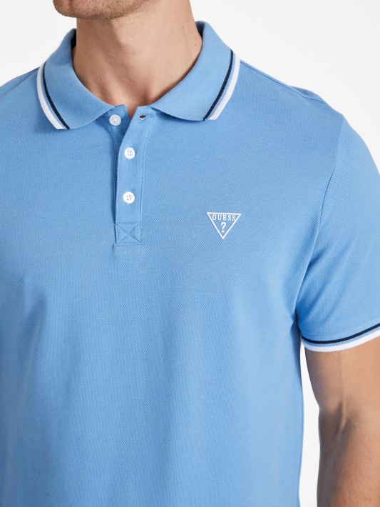 Allenas Polo Atspėti Kampanulę