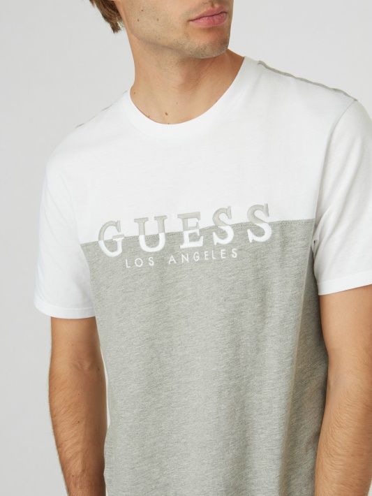 Grynas Baltas Davion Spalvotas Blokas Logotipas Tee Spėjimas