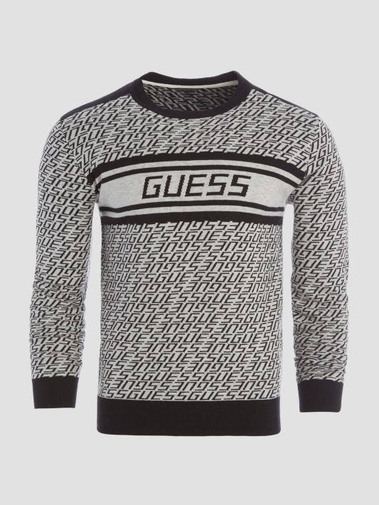 Guess Allover Logotipas G Pilkas Ir B Eco Palmer žakardo Logotipas Megztinis